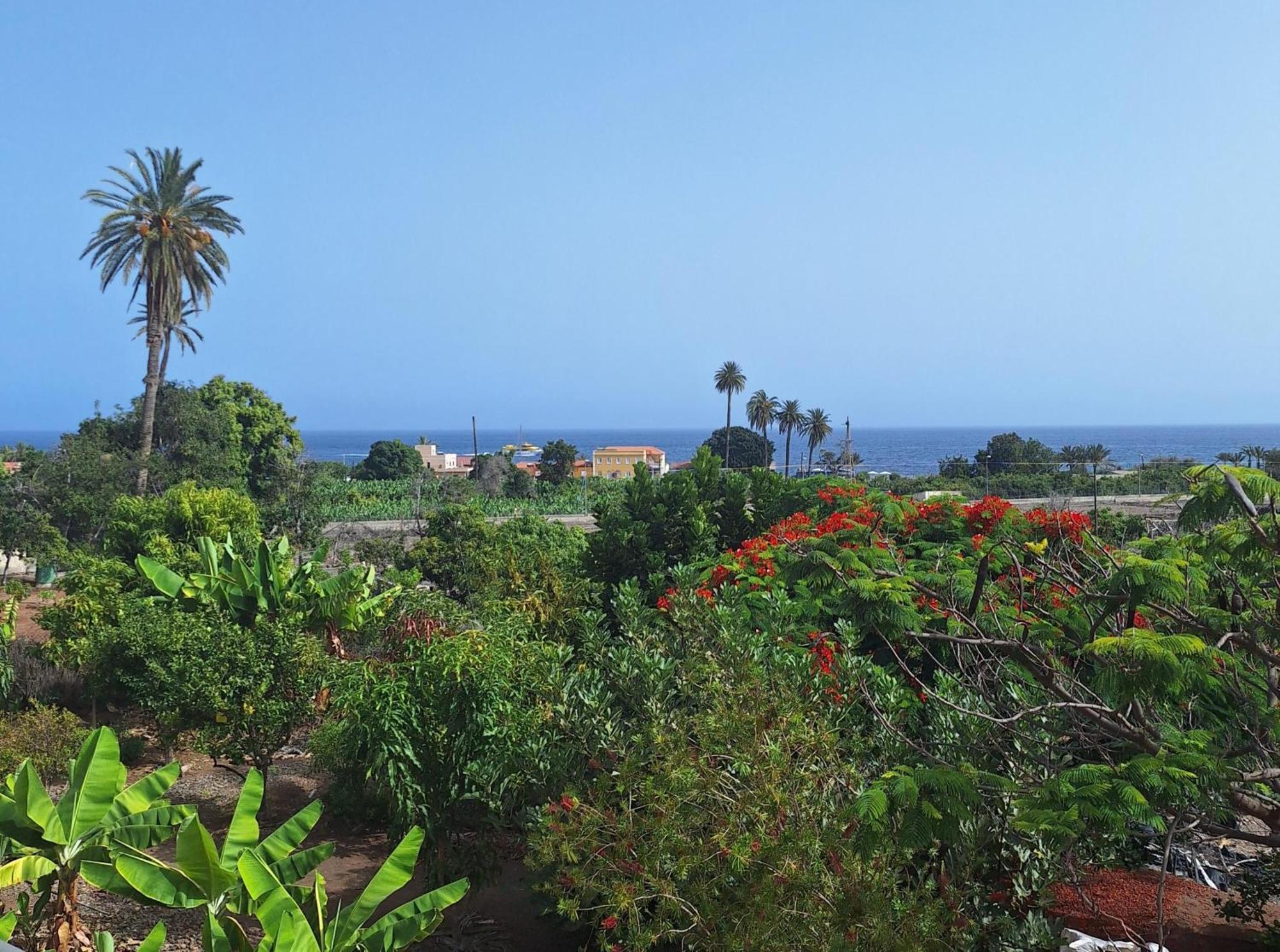 Apartamentos Bellavista Gomera Плайя-де-Сантьяго Экстерьер фото