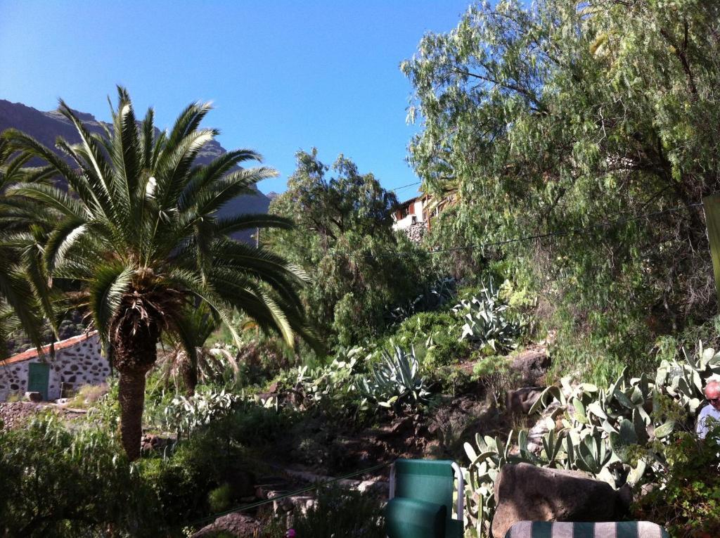 Apartamentos Bellavista Gomera Плайя-де-Сантьяго Экстерьер фото