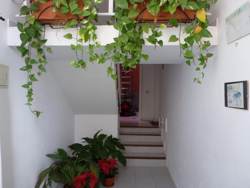 Apartamentos Bellavista Gomera Плайя-де-Сантьяго Экстерьер фото